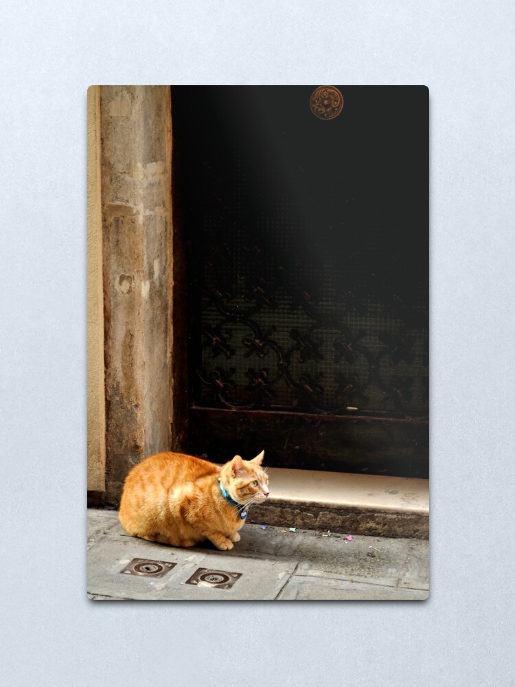Alternate view of I can wait ... Metal Print