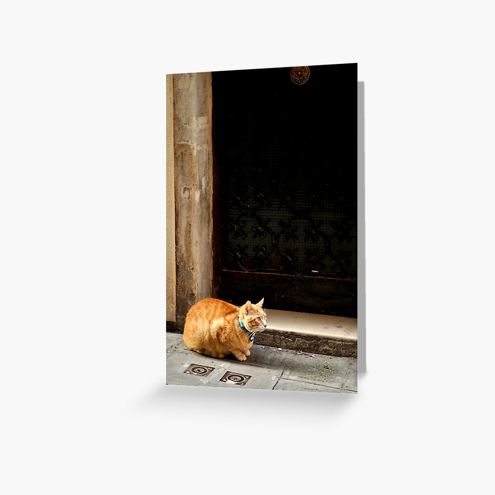 I can wait ... Greeting Card