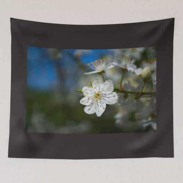 Item preview, Cherry Blossom Flower  designed and sold by Alisonchambers2.