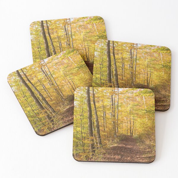 Item preview, Enchanted Forest near Heiligenberg designed and sold by holgermader.