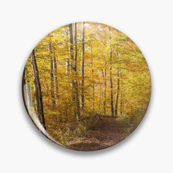 Artikelvorschau, Enchanted Forest near Heiligenberg entworfen und verkauft von holgermader.