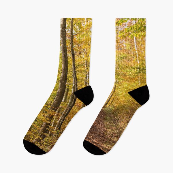 Item preview, Enchanted Forest near Heiligenberg designed and sold by holgermader.