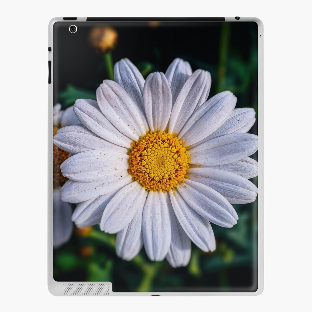 Item preview, iPad Skin designed and sold by cokemann.