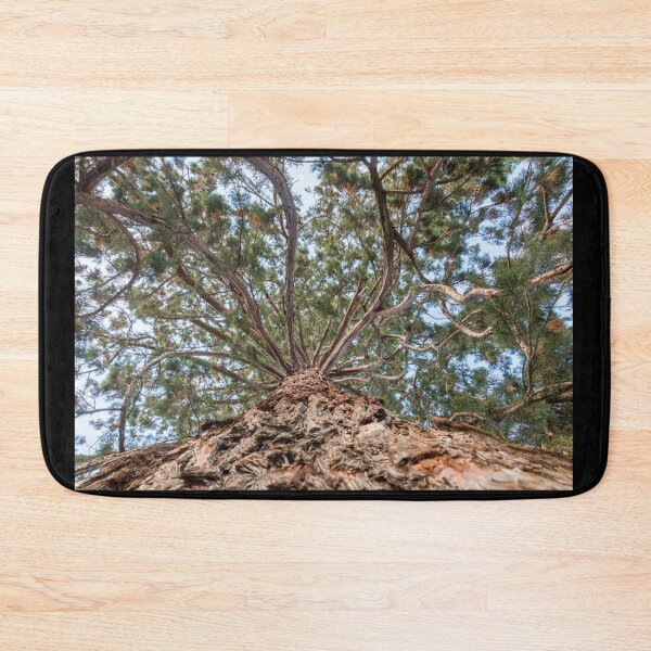 Item preview, Tree at Monastery Rheinau - Switzerland designed and sold by holgermader.
