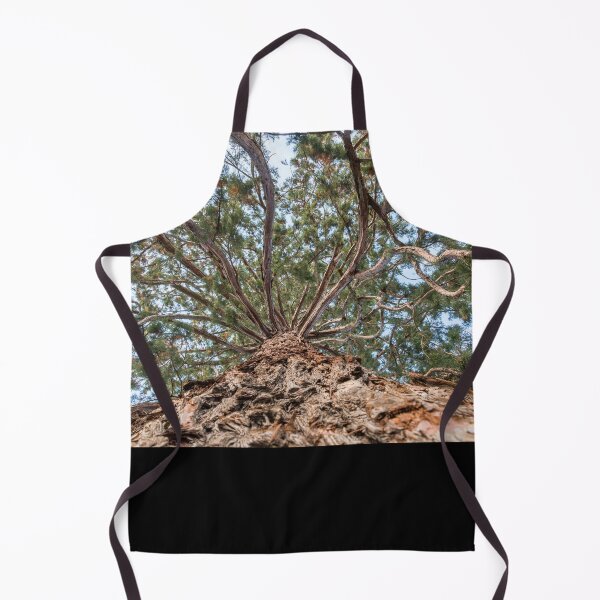 Item preview, Tree at Monastery Rheinau - Switzerland designed and sold by holgermader.