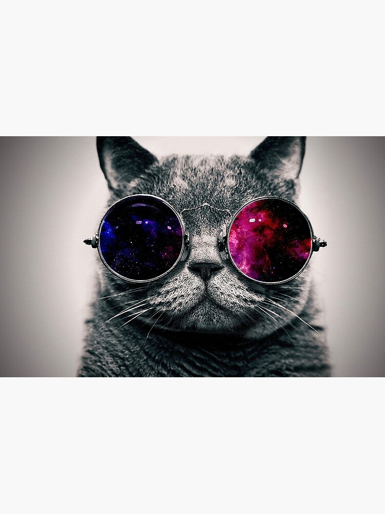 Cat With Glasses Space Canvas Print For Sale By Azrok Redbubble