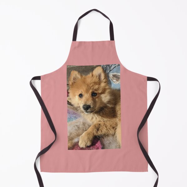 Item preview, Pomeranian puppy Kai designed and sold by Fluffycat2020.