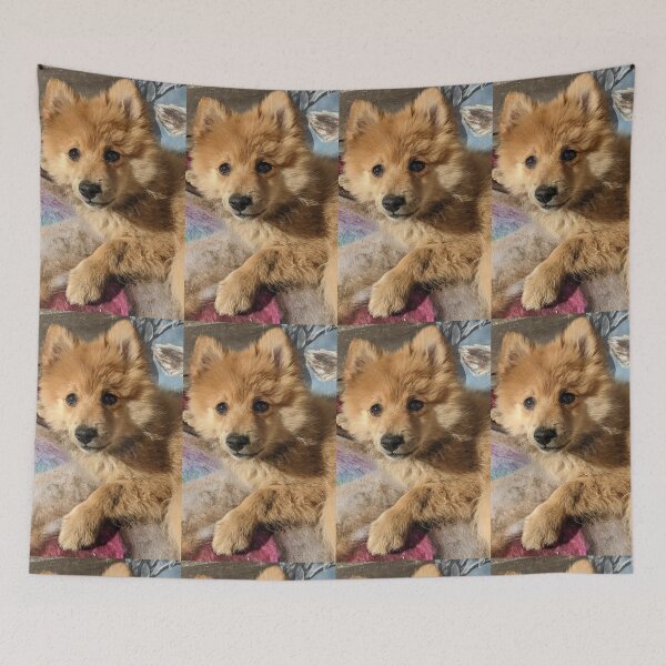 Item preview, Pomeranian puppy Kai designed and sold by Fluffycat2020.