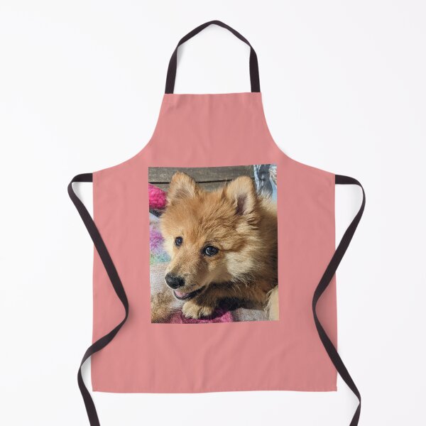 Item preview, Pomeranian puppy Kai designed and sold by Fluffycat2020.