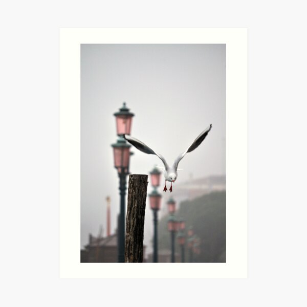 Art Print