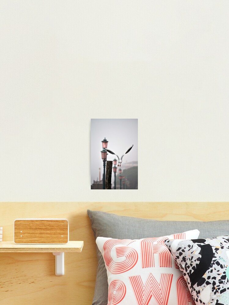 Thumbnail 1 of 3, Photographic Print, And away we go... designed and sold by Tiffany Dryburgh.