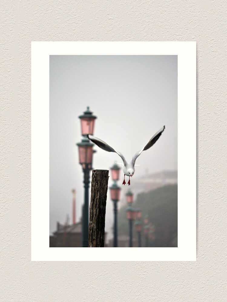 Thumbnail 2 of 3, Art Print, And away we go... designed and sold by Tiffany Dryburgh.