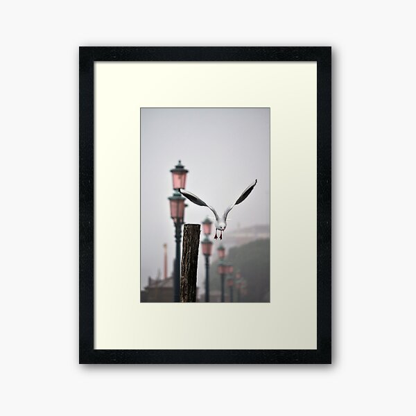 Framed Art Print