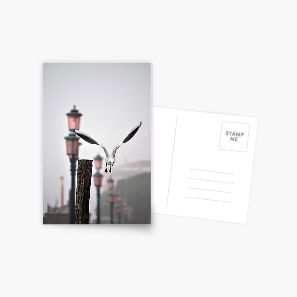 Item preview, Postcard designed and sold by Tiffany.