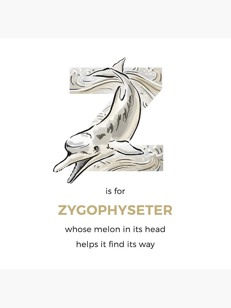 Z is for Zygophyseter by franzanth