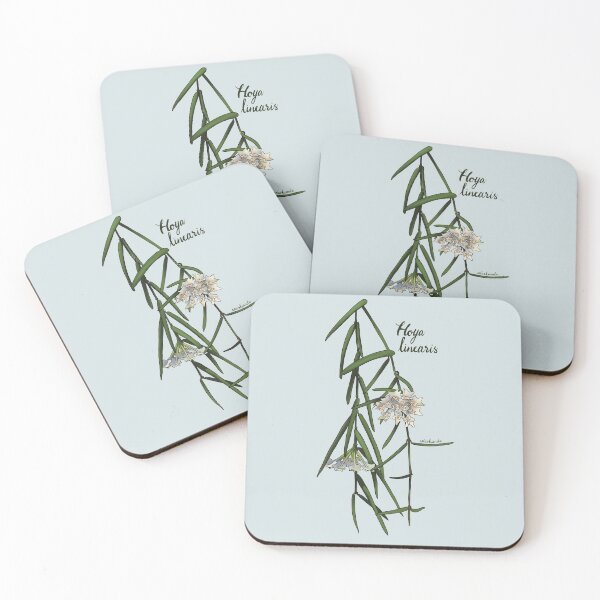 Item preview, Beautiful Hoya linearis in full bloom designed and sold by Wieskunde.