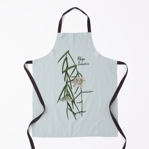 Item preview, Beautiful Hoya linearis in full bloom designed and sold by Wieskunde.