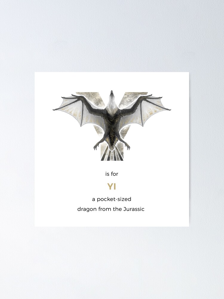 Alternate view of Y is for Yi Poster