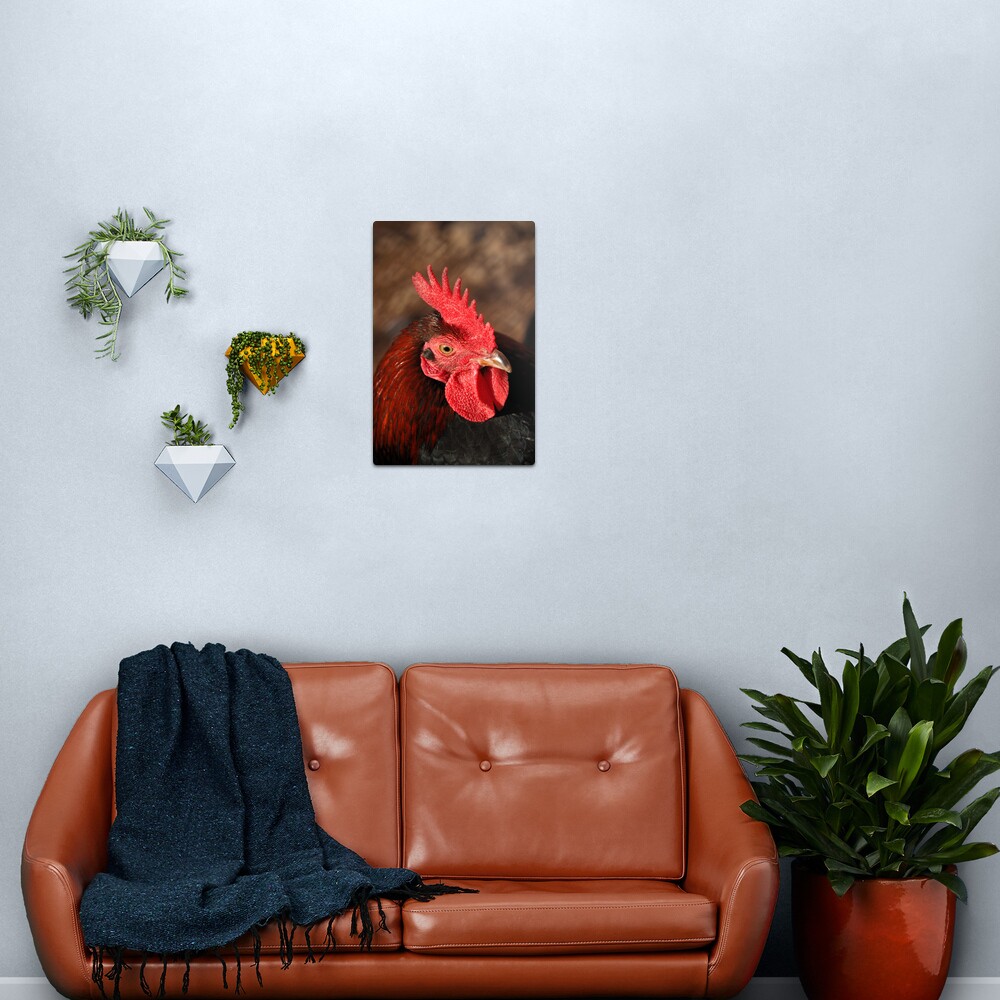 Handsome Lad Metal Print