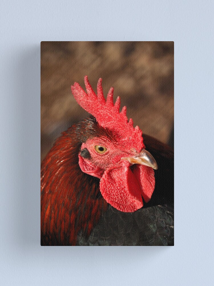 Thumbnail 2 of 3, Canvas Print, Handsome Lad designed and sold by Tiffany Dryburgh.