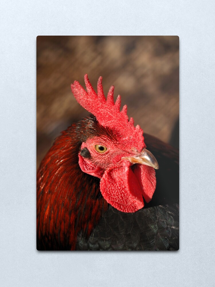Alternate view of Handsome Lad Metal Print