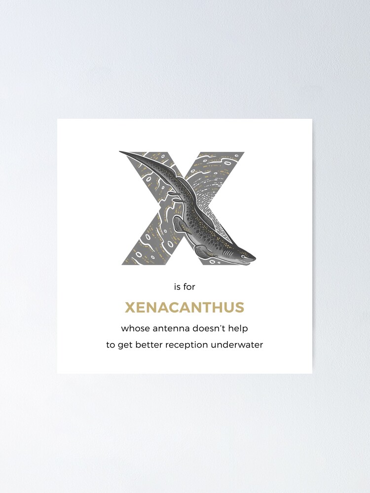 Alternate view of X is for Xenacanthus Poster