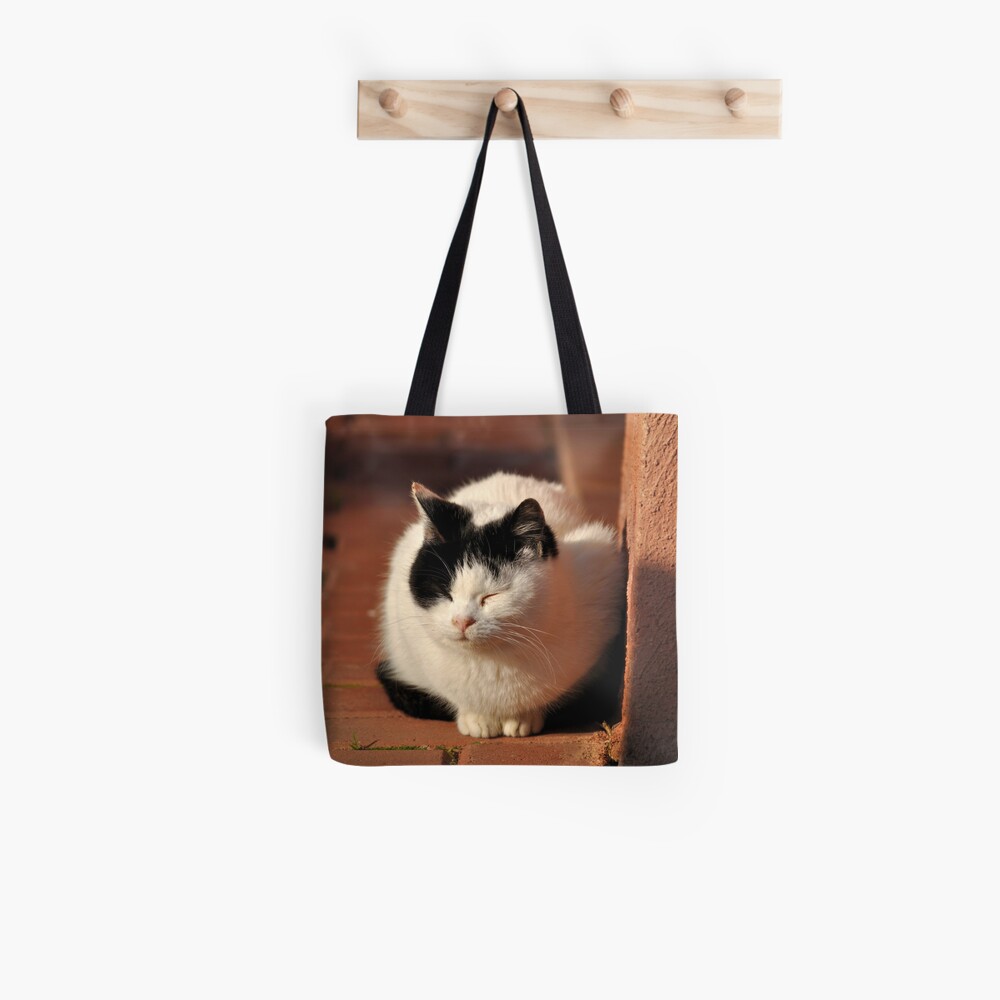 Warm Winter Sun Tote Bag