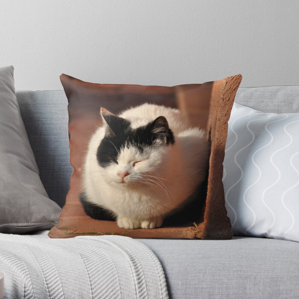 Item preview, Throw Pillow designed and sold by Tiffany.