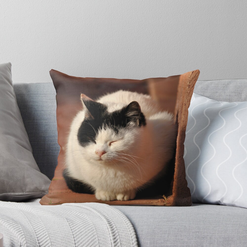 Item preview, Throw Pillow designed and sold by Tiffany.