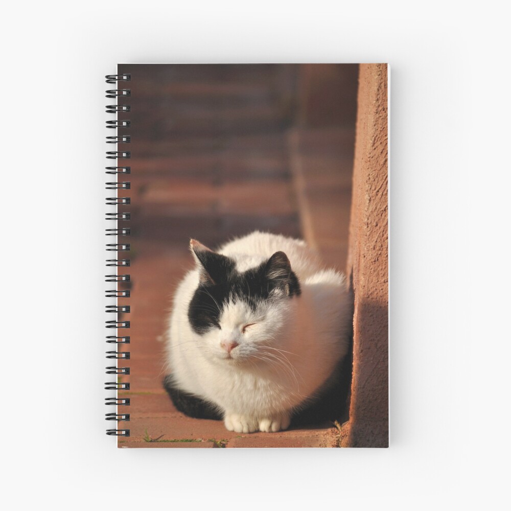 Item preview, Spiral Notebook designed and sold by Tiffany.