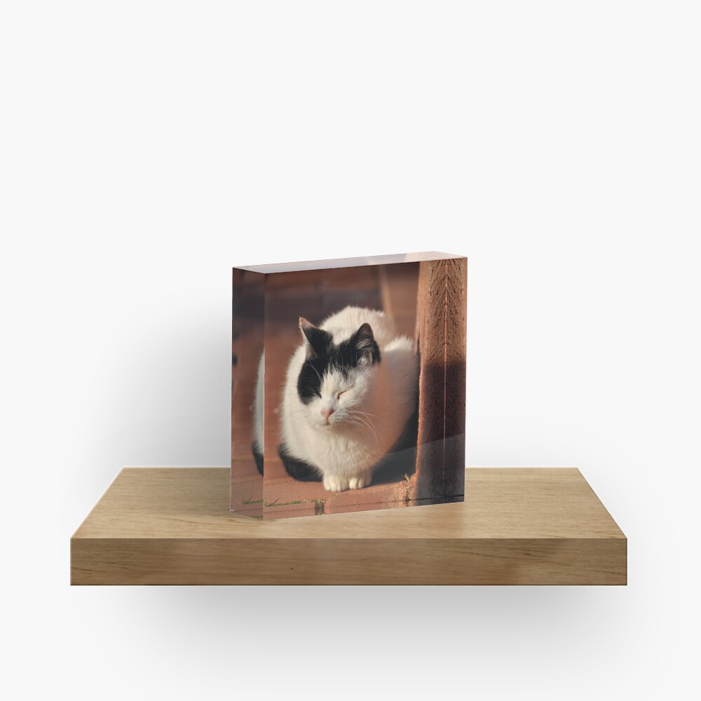 Item preview, Acrylic Block designed and sold by Tiffany.