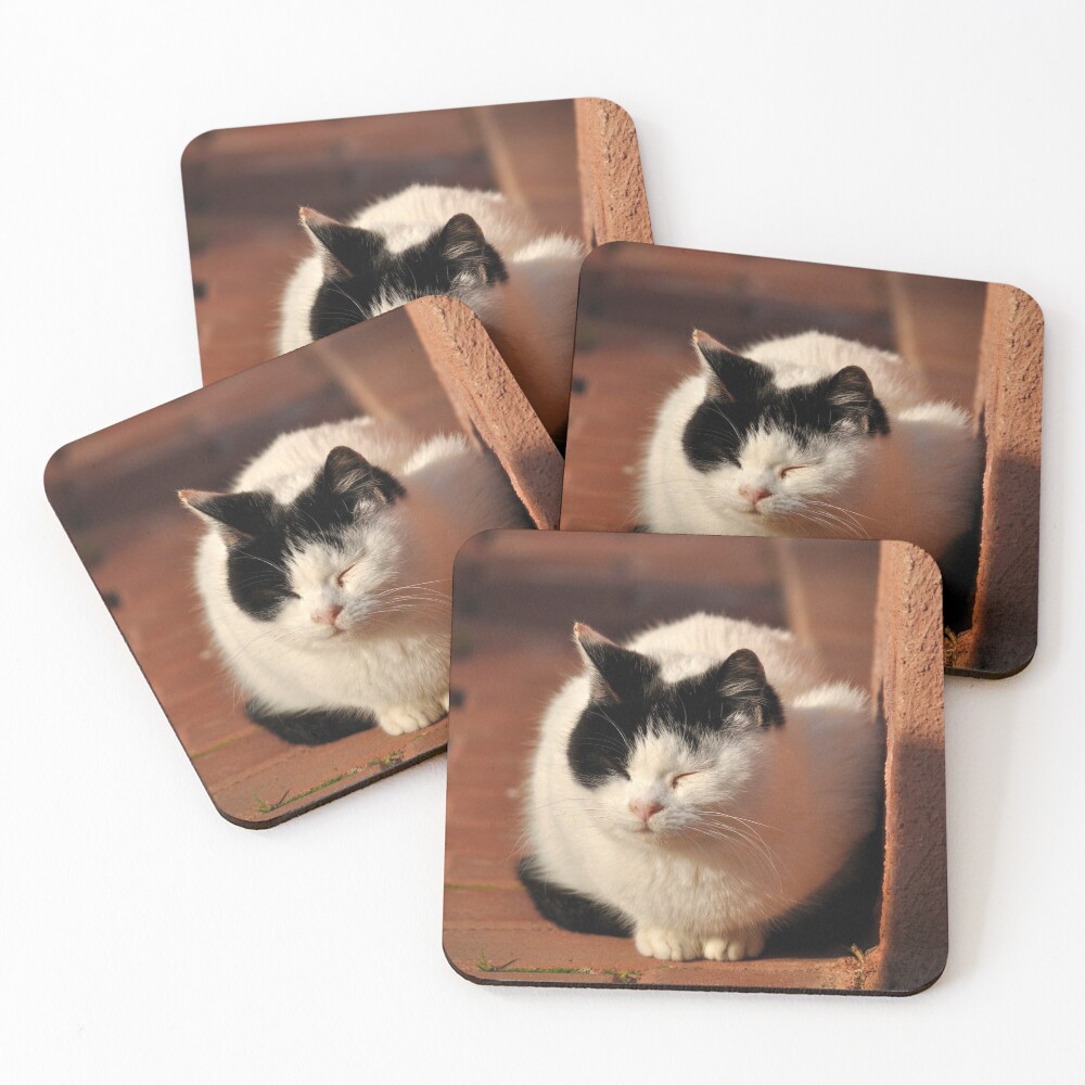 Item preview, Coasters (Set of 4) designed and sold by Tiffany.