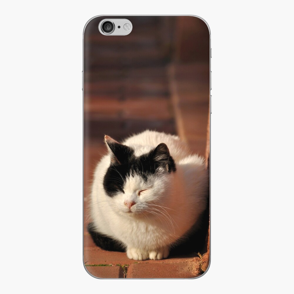 Item preview, iPhone Skin designed and sold by Tiffany.