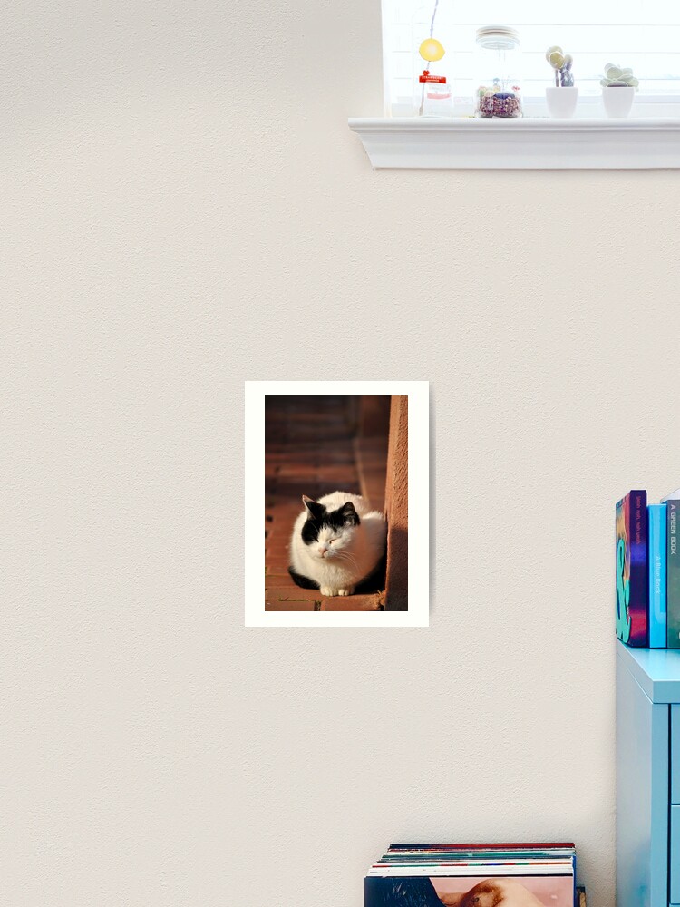 Thumbnail 1 of 3, Art Print, Warm Winter Sun designed and sold by Tiffany Dryburgh.