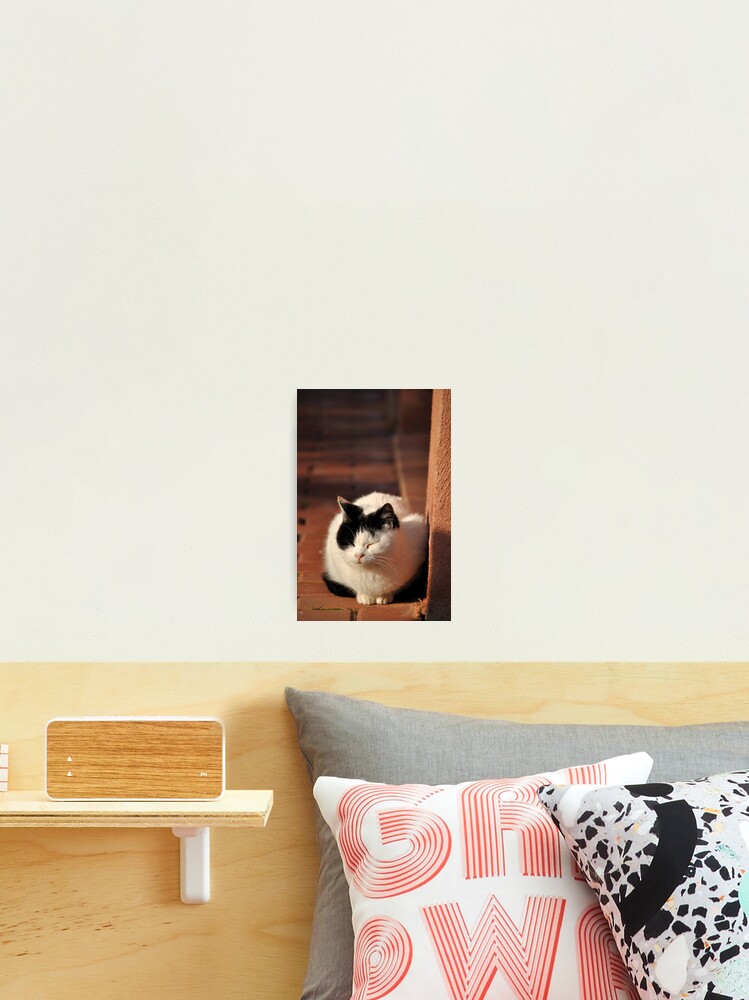 Thumbnail 1 of 3, Photographic Print, Warm Winter Sun designed and sold by Tiffany Dryburgh.