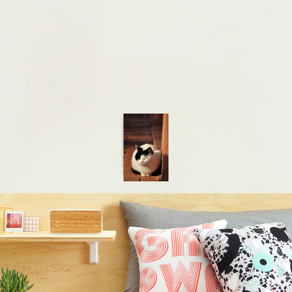Item preview, Photographic Print designed and sold by Tiffany.