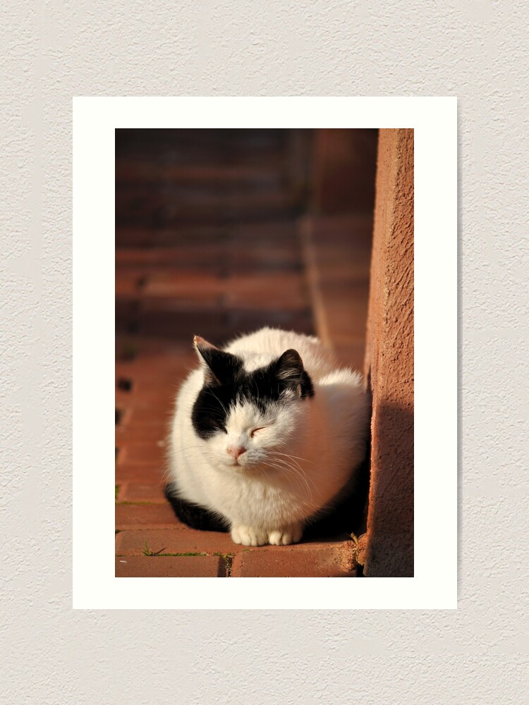 Thumbnail 2 of 3, Art Print, Warm Winter Sun designed and sold by Tiffany Dryburgh.