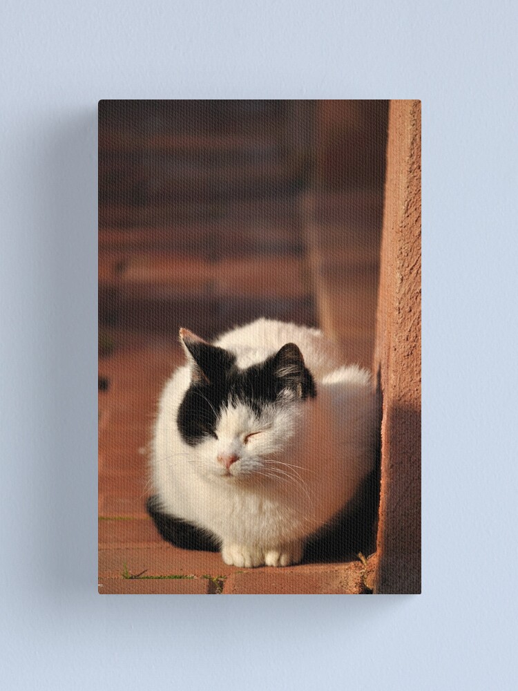 Alternate view of Warm Winter Sun Canvas Print