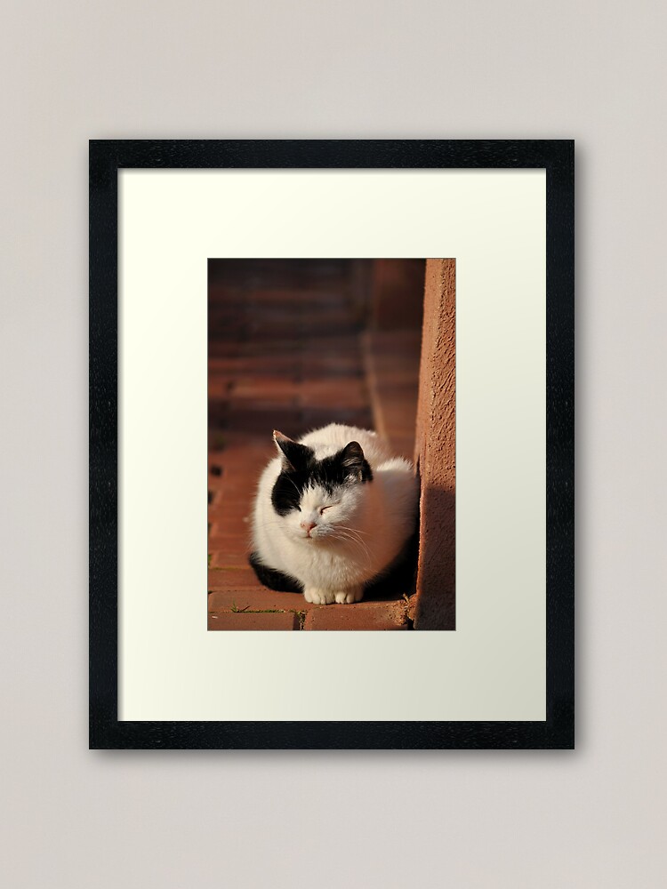 Alternate view of Warm Winter Sun Framed Art Print