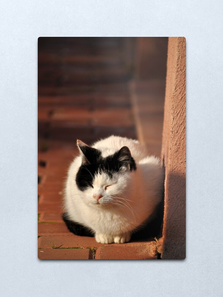 Alternate view of Warm Winter Sun Metal Print