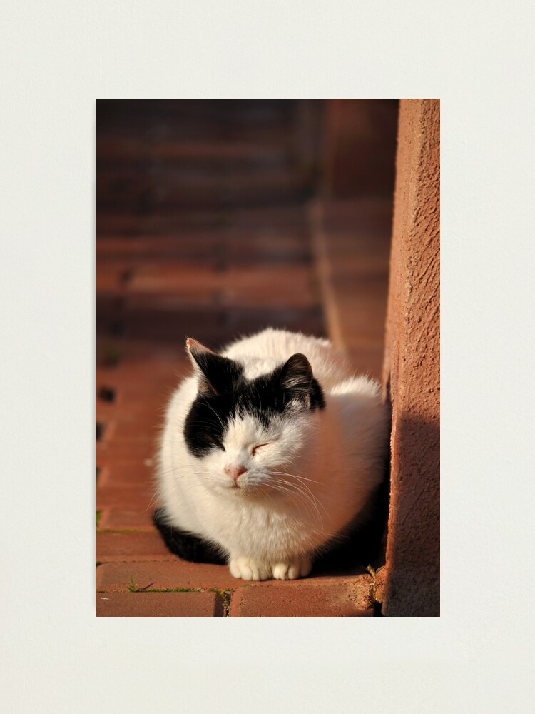 Thumbnail 2 of 3, Photographic Print, Warm Winter Sun designed and sold by Tiffany Dryburgh.