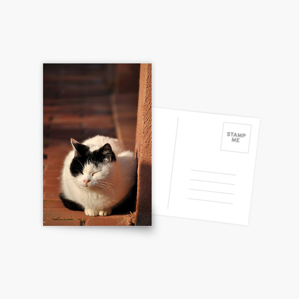 Item preview, Postcard designed and sold by Tiffany.