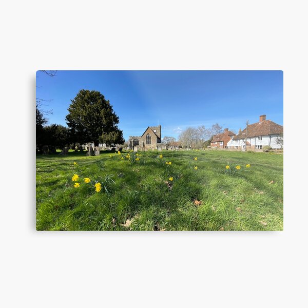 St Peter and St Paul Church with Daffodils Metal Print