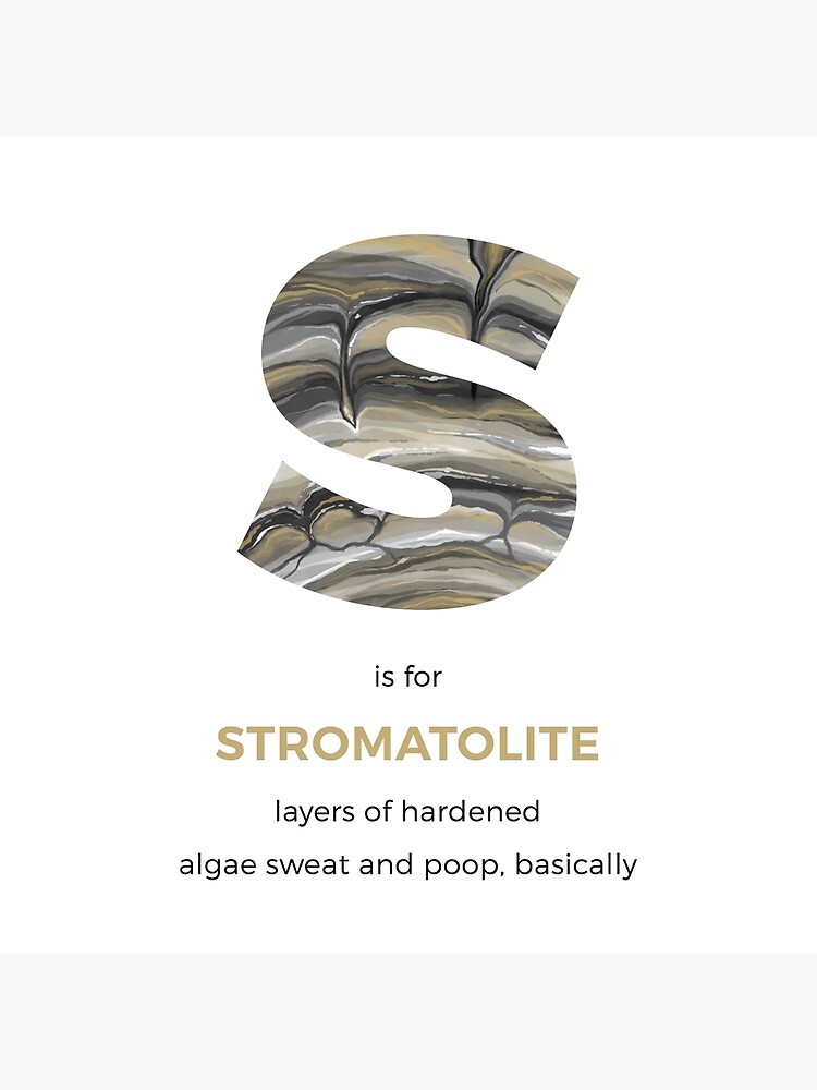 S is for Stromatolite by franzanth