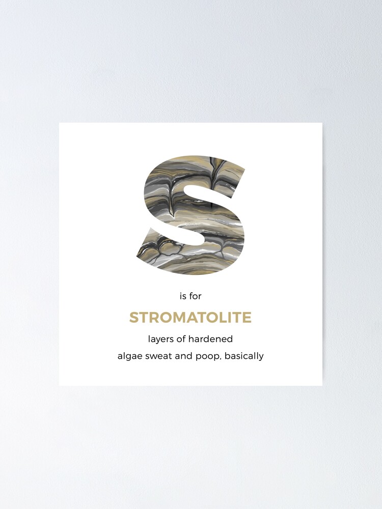 Alternate view of S is for Stromatolite Poster