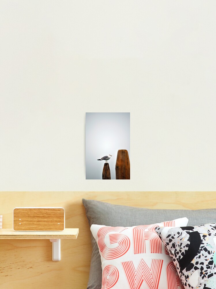 Thumbnail 1 of 3, Photographic Print, A Fine Profile designed and sold by Tiffany Dryburgh.