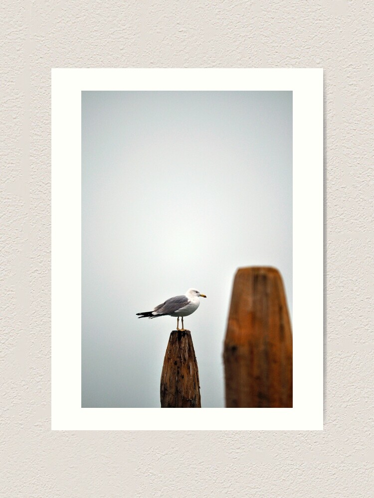Thumbnail 2 of 3, Art Print, A Fine Profile designed and sold by Tiffany Dryburgh.