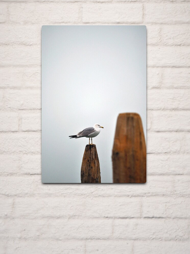 Thumbnail 2 of 4, Metal Print, A Fine Profile designed and sold by Tiffany Dryburgh.