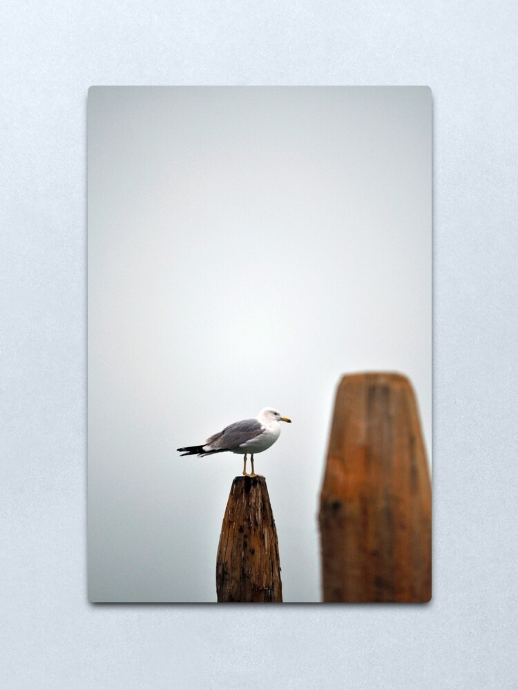 Alternate view of A Fine Profile Metal Print