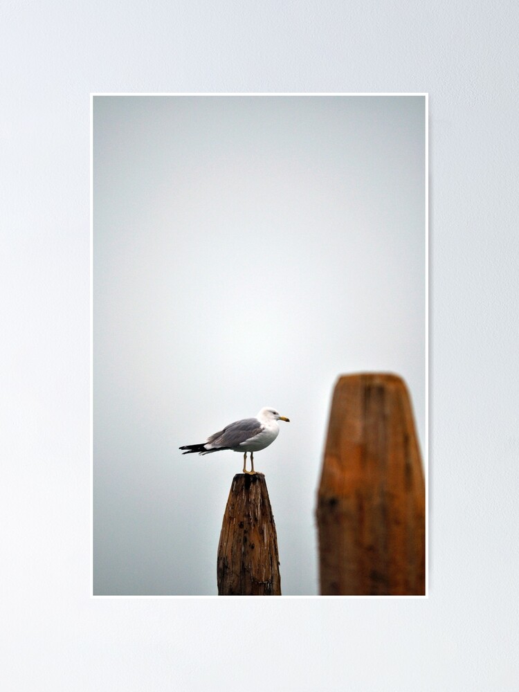 Thumbnail 2 of 3, Poster, A Fine Profile designed and sold by Tiffany Dryburgh.